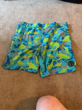 Maui and Sons Men's Swim Trunks - Blue, Lime, Teal